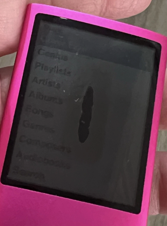 Apple iPod Nano (4rd Gen) MP3 Player