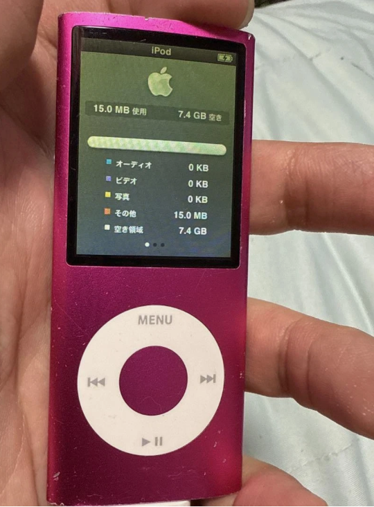 Apple iPod Nano (4rd Gen) MP3 Player